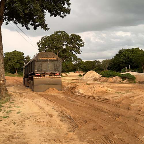 imagem intro nogueira foto 2