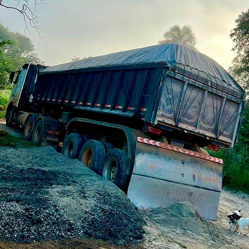 imagem intro nogueira foto 3